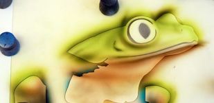 frog_sbs4.jpg